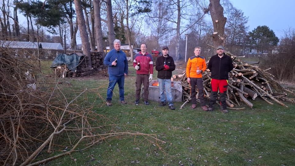 Achtung ... Baum fällt
